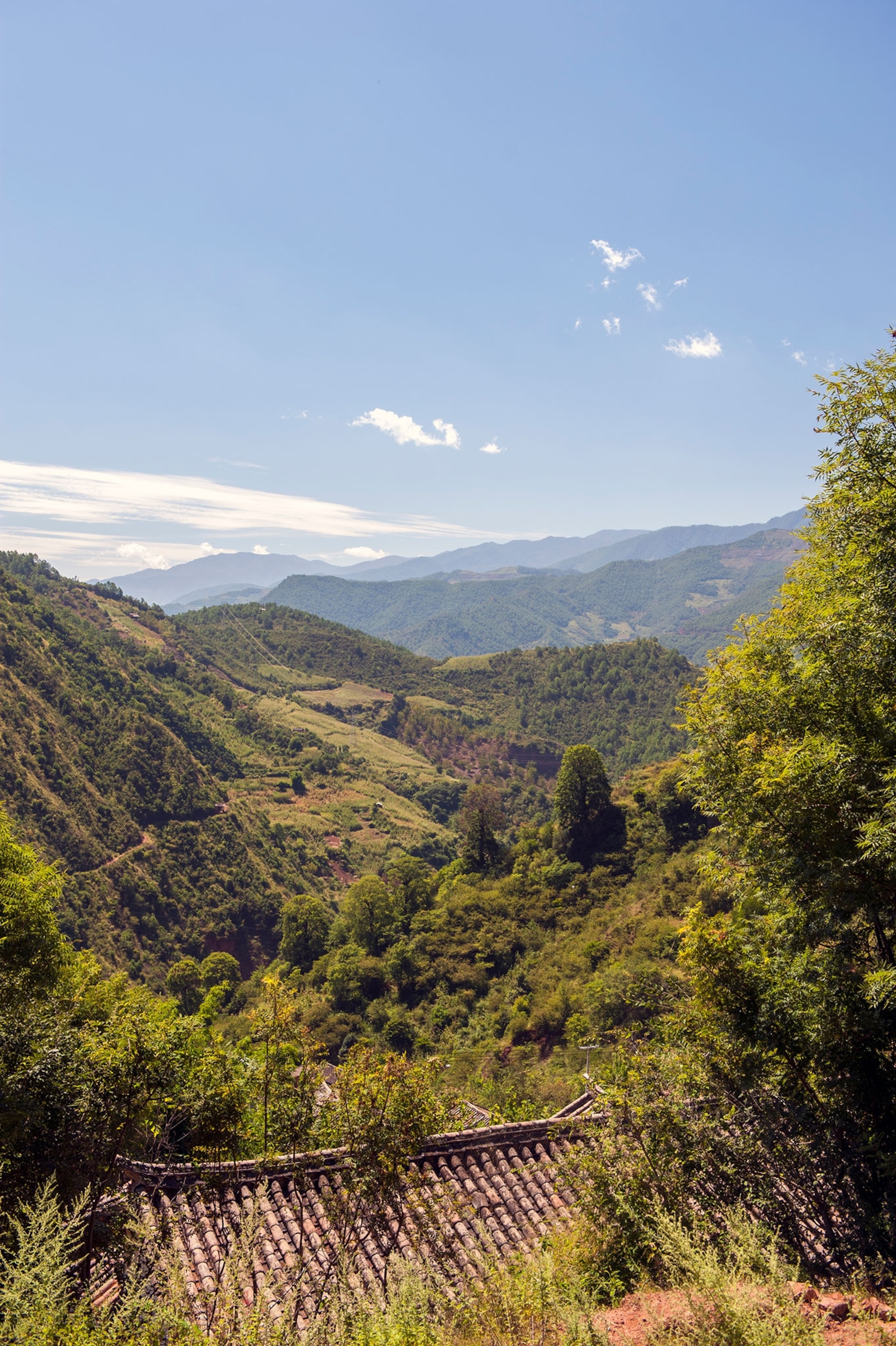 A view looking out onto green lush mountains with the roof of a house peaking through trees at the bottom of the frame. A blue sky fills the top of the frame.