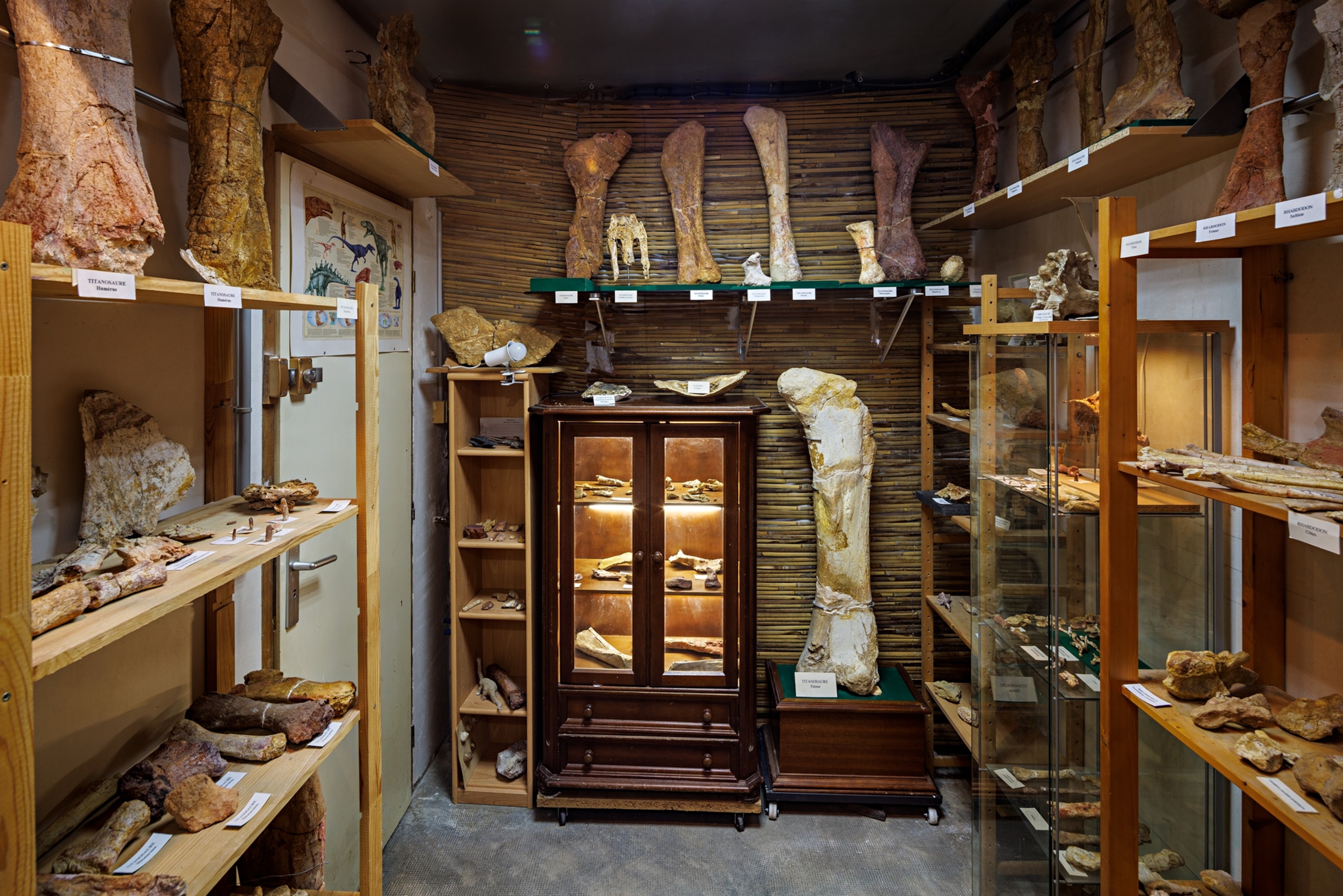 A storage room of the fossil collection.