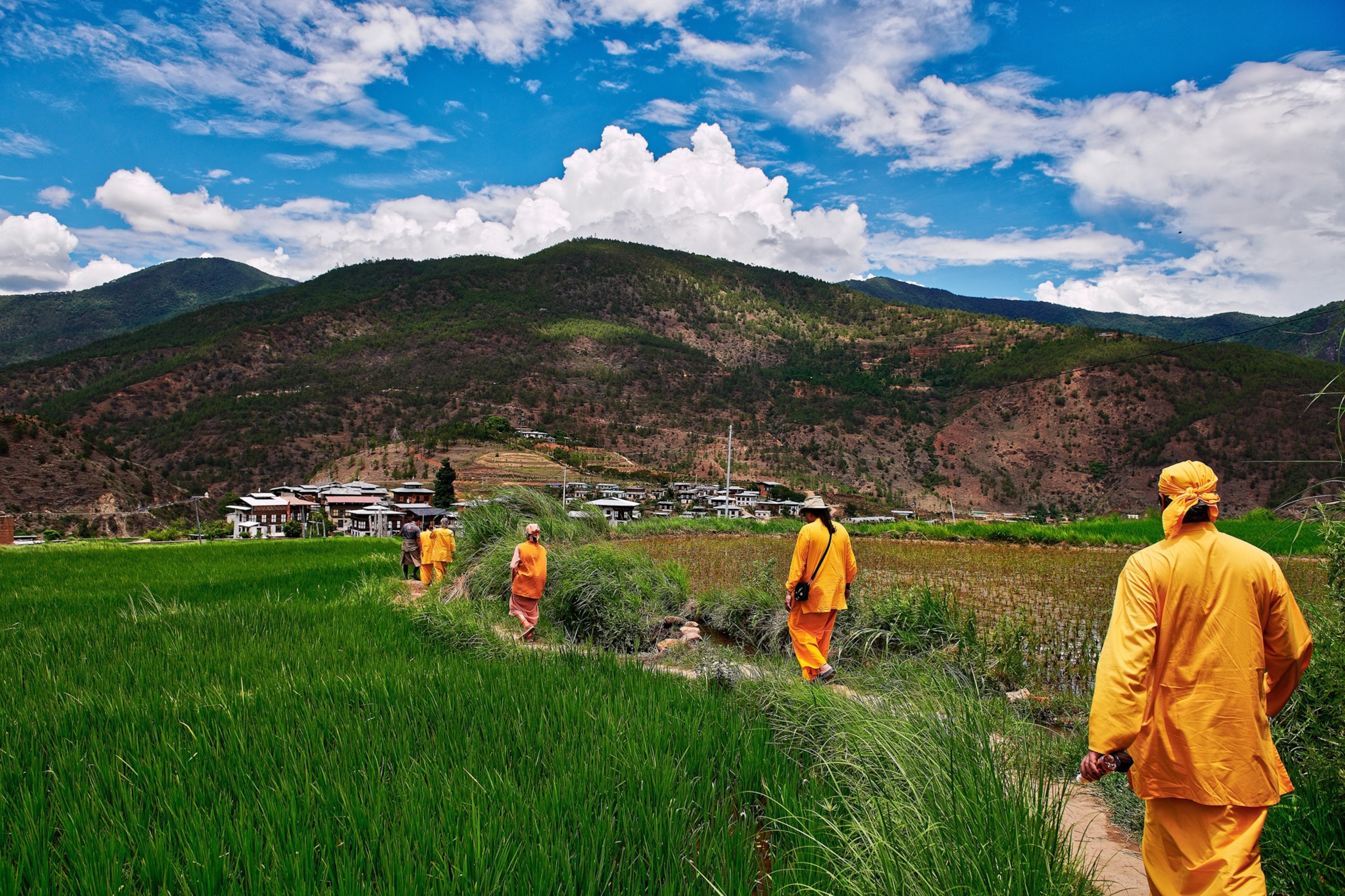 Men in bright colored robes walk through a field to Chimi Lhakhang, a Buddhist monastery in Punakha district of Bhutan